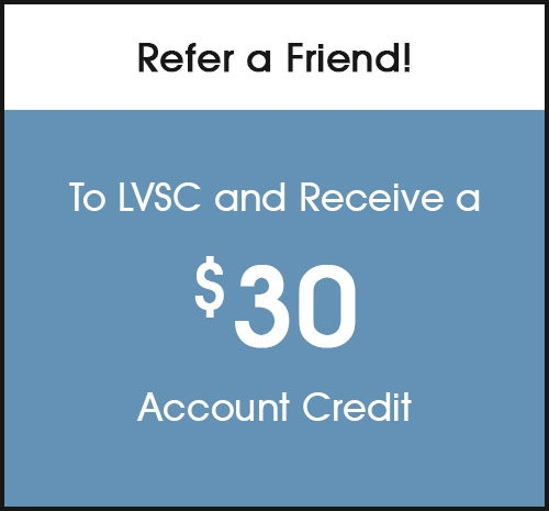 refer a friend promo