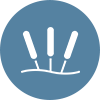 Acupuncture & Chiropractic Icon