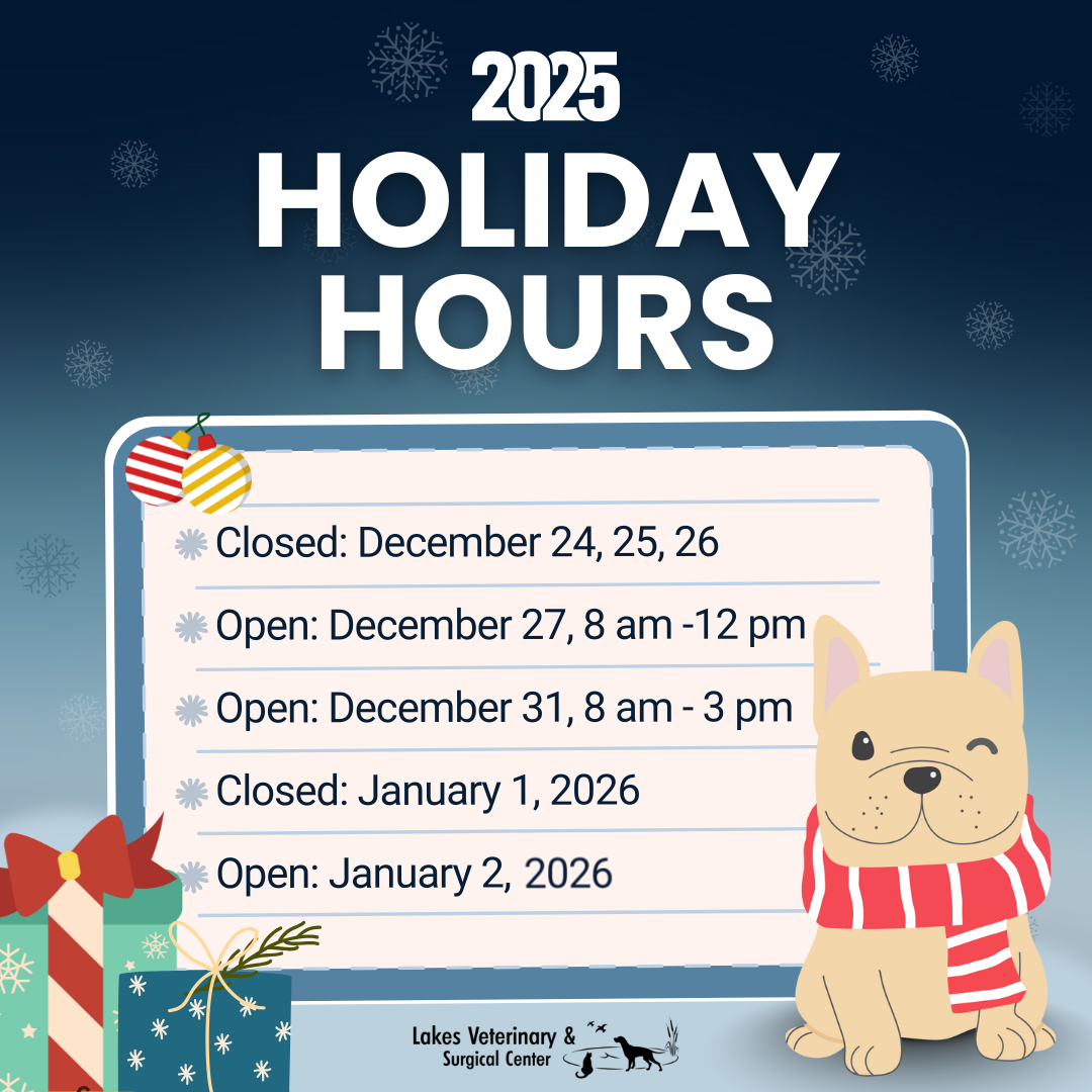 2025 holiday hours